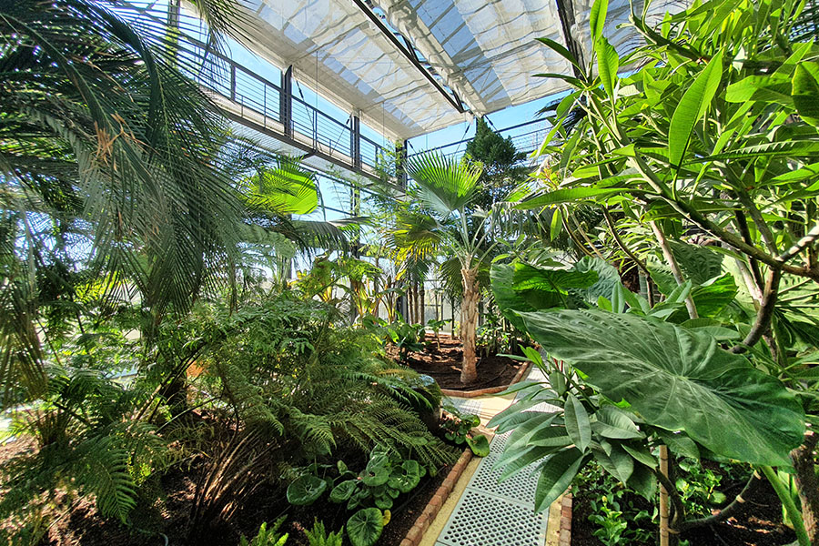 Greenhouses & Biodiversity: where the harmony between man and nature triumphs